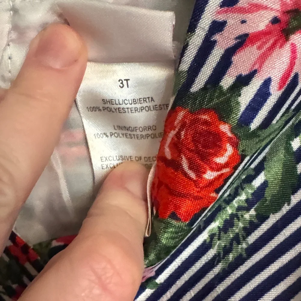 Nannette Navy and Pink Floral Striped Dress